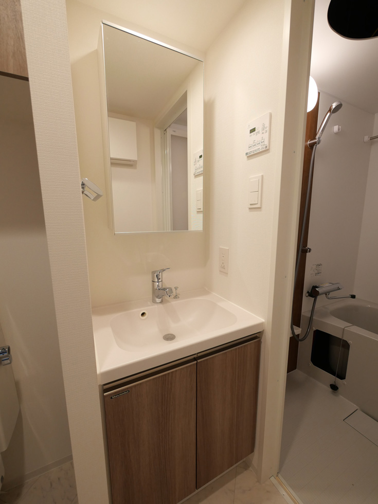 ラフィスタ高津 内観