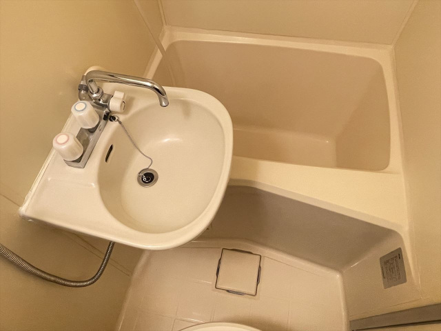 スカイコートよみうりランド313号室 洗面