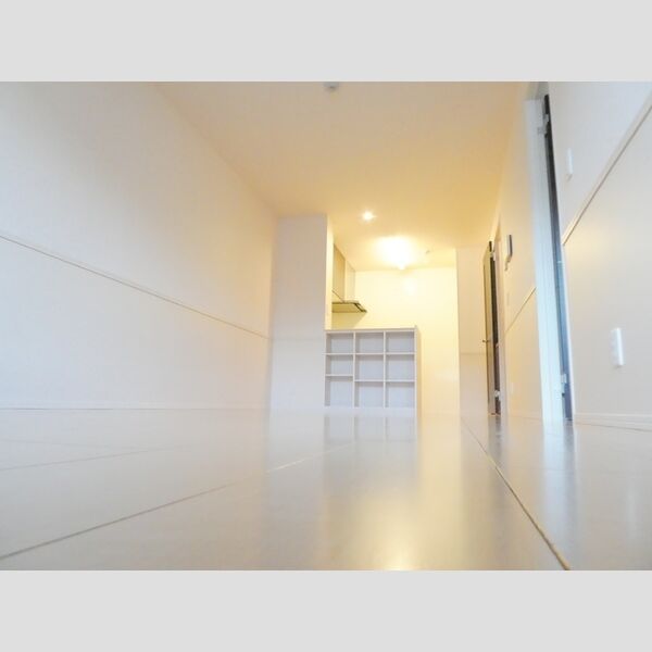 シーレックス Parque LD