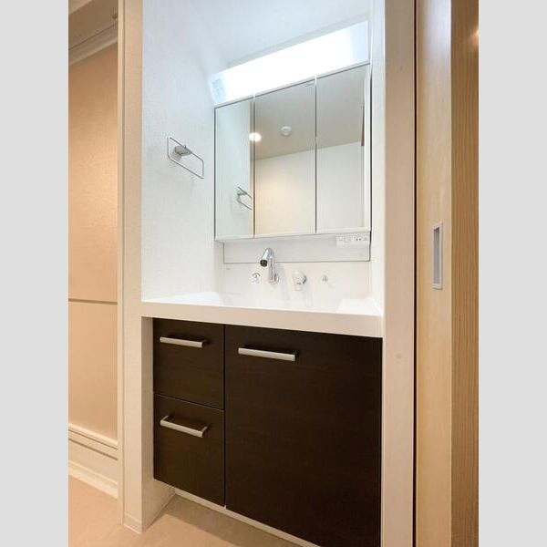 S-RESIDENCE富士見ヶ丘afford202号室 洗面