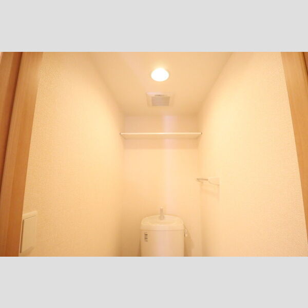 フォレ・プランドール205号室 トイレ　棚