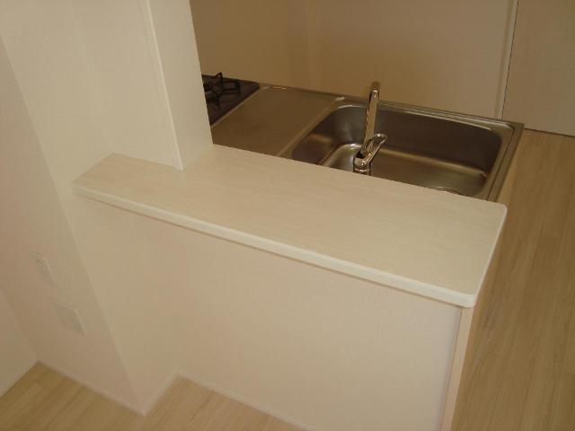 Ｆ＆Ｒ　Ⅱ202号室 カウンター