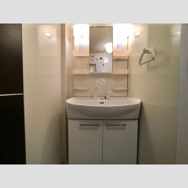 第7グリーンハイツ　A201号室 洗髪可能な洗面台
