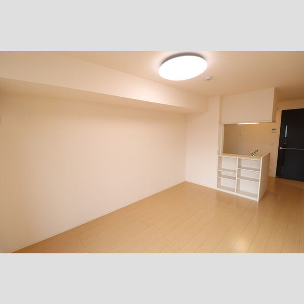 グレイスコート201号室 LDK