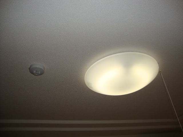 ビオラ 洋室照明