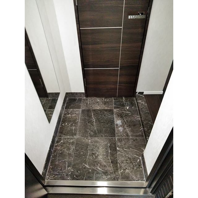 ロアール武蔵新田 玄関