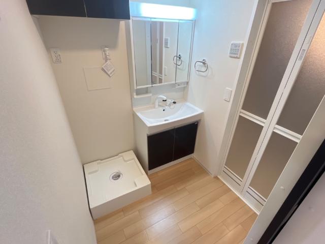 サウザンドリーフ201号室 洗面