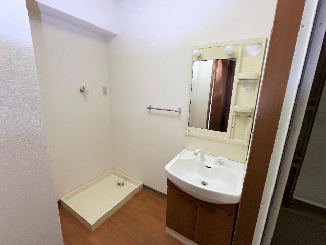 ビューテラス203号室 洗面