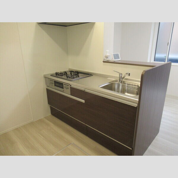 N・D-ROOM IIDACHOU　A棟106号室 システムキッチン