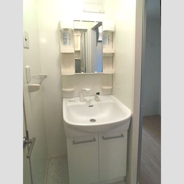 メルヴェール Ⅱ201号室 シャワー付独立洗面化粧台