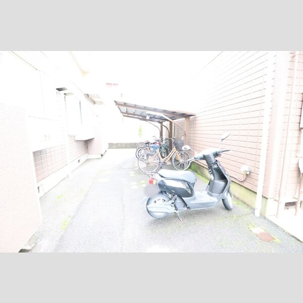 ピュアパレス　壱番館101号室 駐輪場