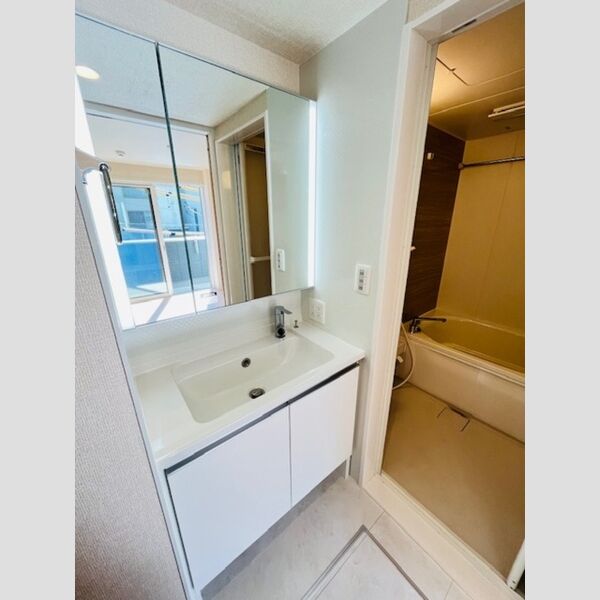 BrightsⅠ203号室 洗髪洗面化粧台