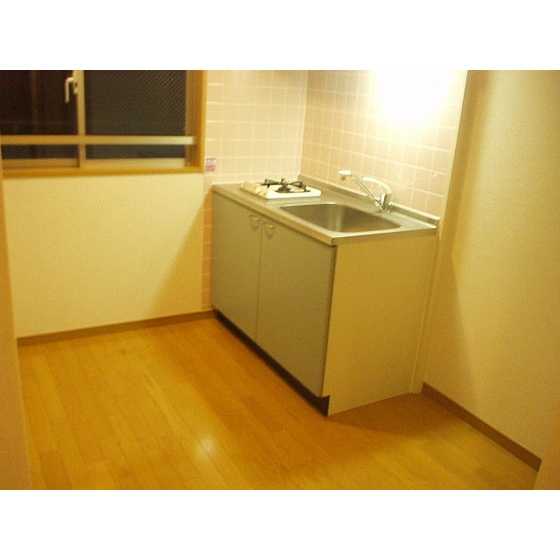 スターライト上池袋 キッチン