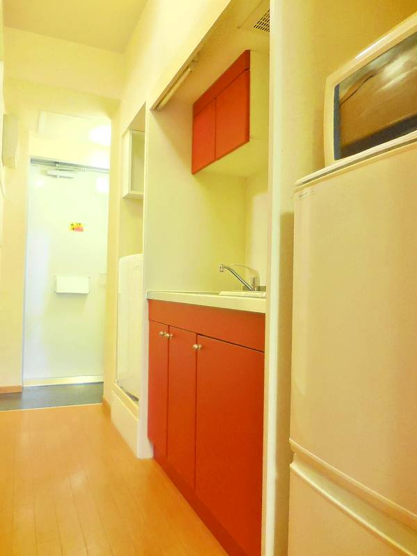 レオパレスカトルセゾン伊奈303号室 部屋その他