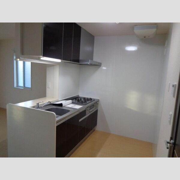 カーサ・ラ・ティーダ 201号室　システムキッチン