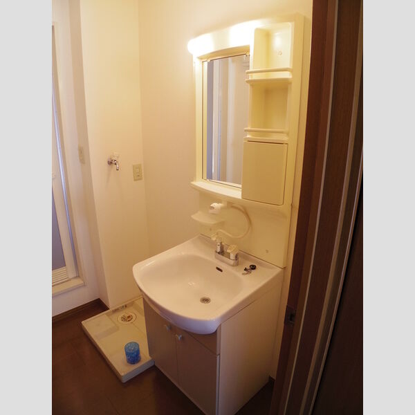 ピアハイツ101号室 洗髪洗面化粧台
