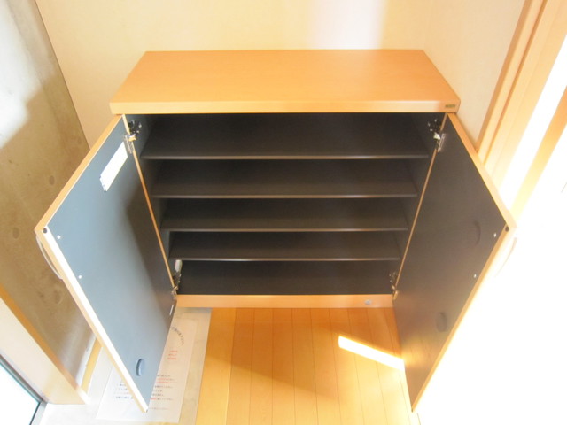 湘南テラスⅡ0301号室 シューズボックスです