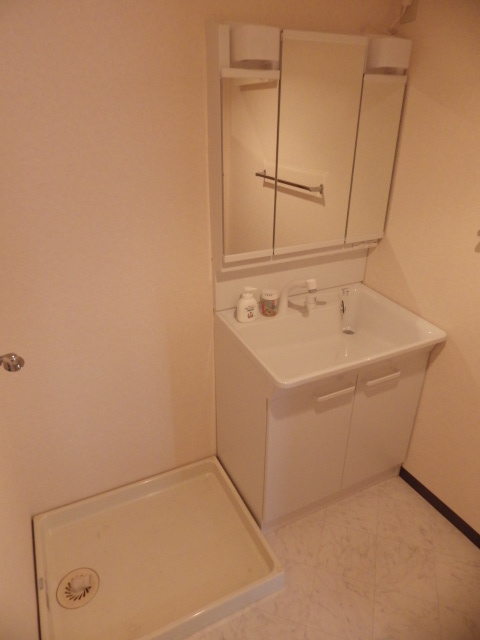 ベルドミール高幡0501号室 洗面