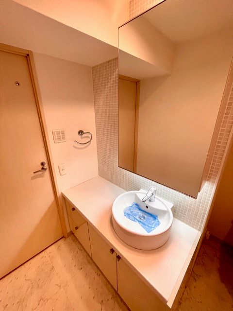 ピアネッタ汐留 洗面