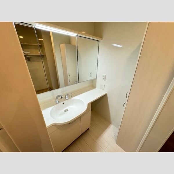 ロイジェントパークス レイクタウン Ⅱ　D 洗髪洗面化粧台