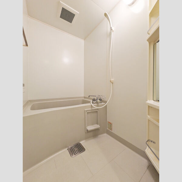 ルインズ・イン・マルヤマ　ABCDEFE103号室 お風呂