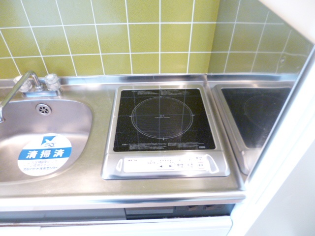 スカイコート西川口第5 同タイプ参考写真