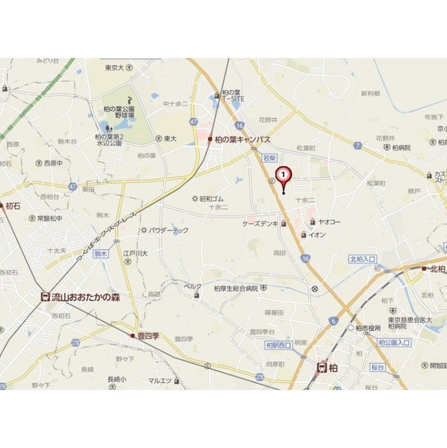 シンシアハイツ柏 外観