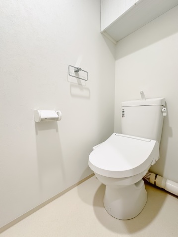 スカイコートリュクス品川大崎101号室 トイレ