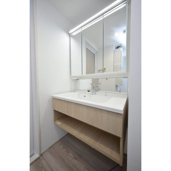 ウィロー板橋本町0401号室 洗面