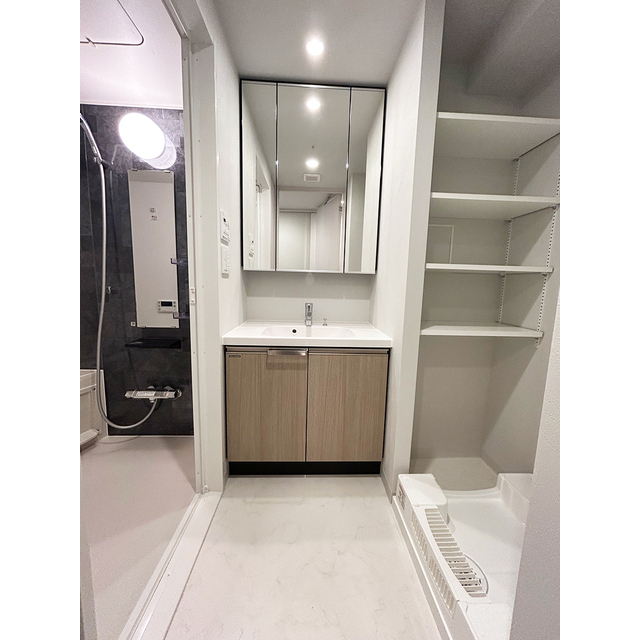 ブランシエスタ品川大井町パークエッジ0507号室 内観