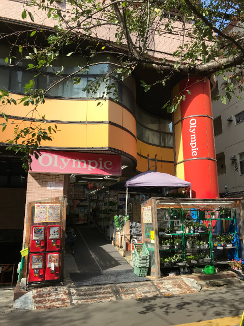 アドバンス中村橋 オリンピック