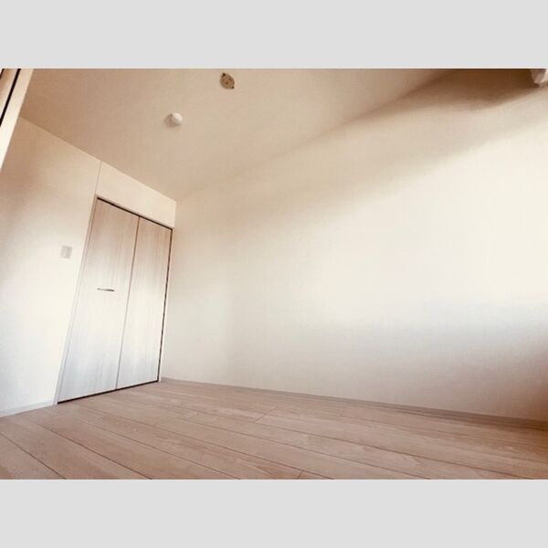TERRACE　WELLNESSⅡ302号室 洋室