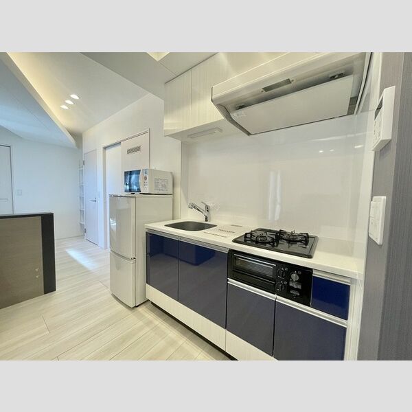 ロイジェントパークス四ツ谷1103号室 キッチン