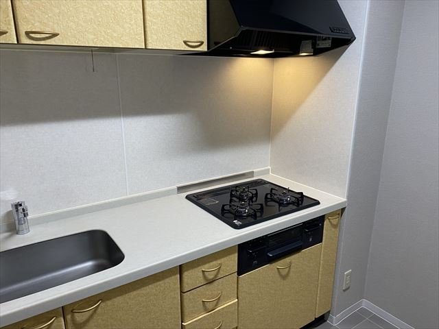 Ｓ・フラット吉祥寺2階 システムキッチン（3口ガスコンロ・グリル付）