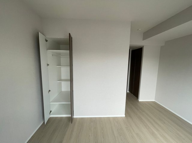 DIPS赤羽RESIDENCE606号室 収納