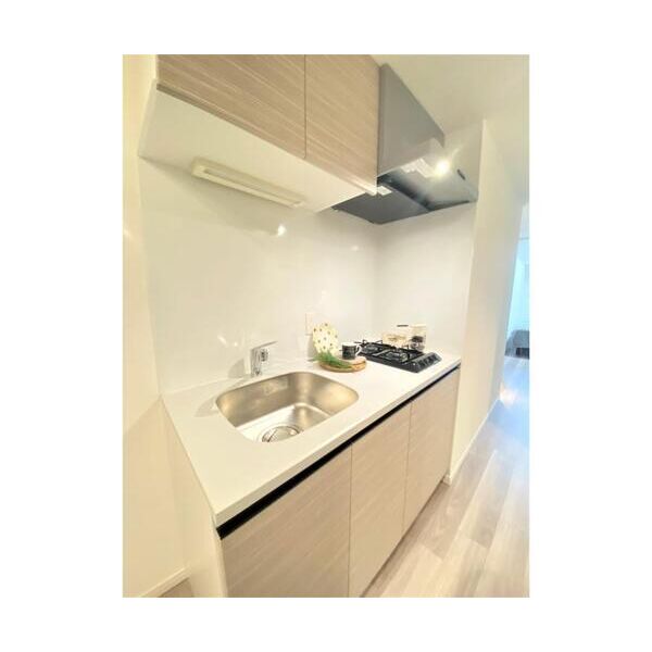 ジオエント中野202号室 キッチン