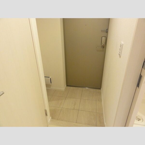 FINE FLATS S103号室 玄関