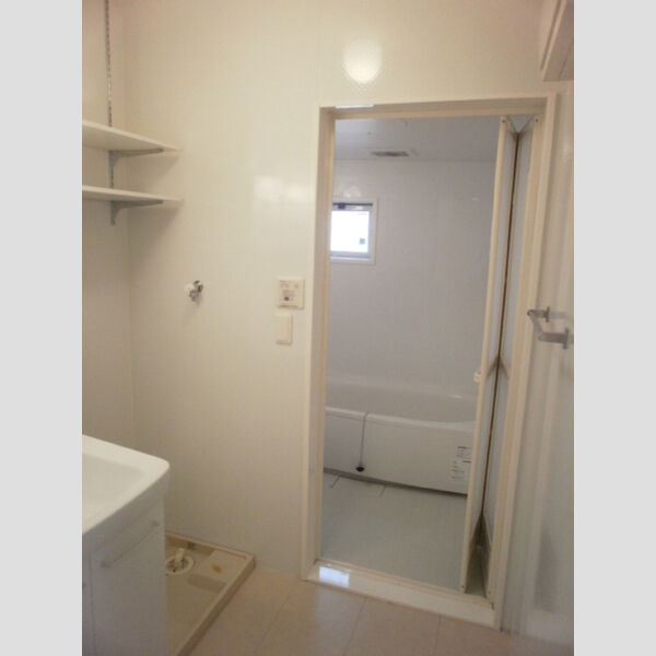 Bamboo　grove101号室 洗面