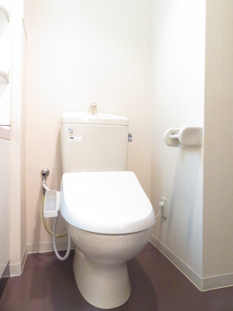 グランド・ガーラ南大井2階 トイレ