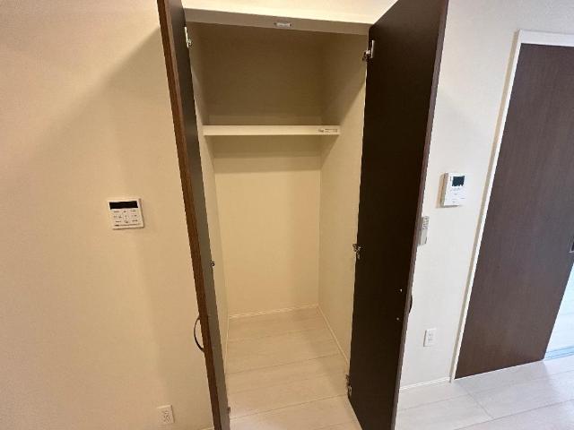 グランプラム本町（ＧｒａｎＰｌｕｍ本町）108号室 収納