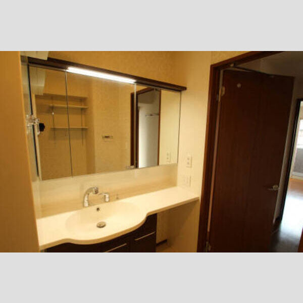 RSAⅡ203号室 洗面台