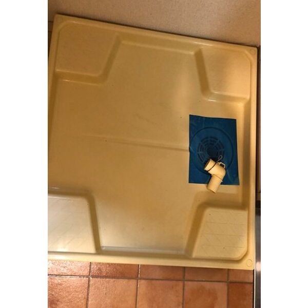 エバーグレイス分倍0310号室 部屋その他