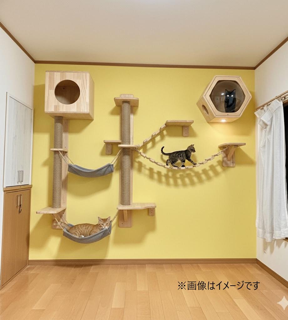 子猫と小川のスフレ この壁は DIY でお好きに飾りつけできます♪