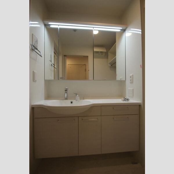 ラ　カーサ　フェリシダ303号室 鏡面裏収納