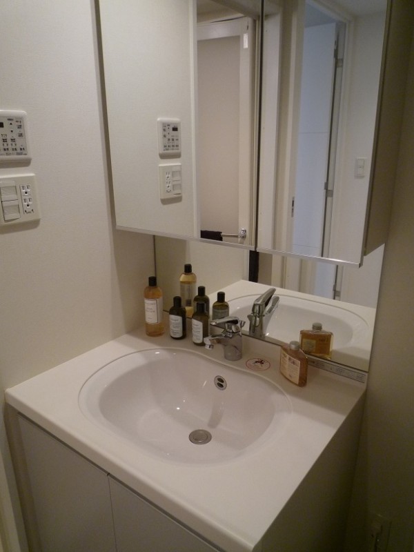 レジディア月島Ⅲ3階 洗面