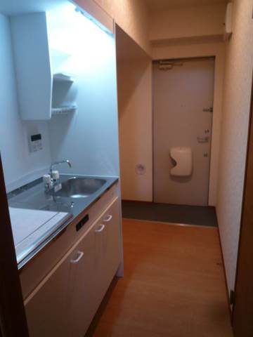 グランヒルズ岸谷2階 部屋その他