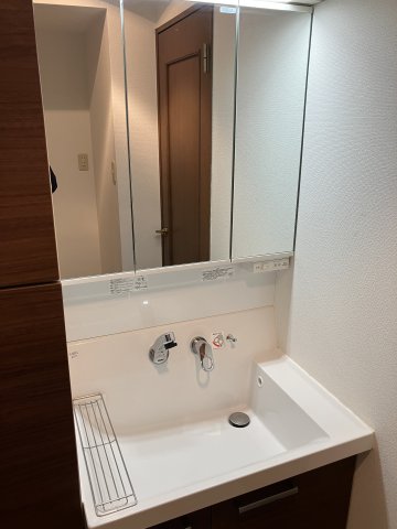 ベルドゥムール越谷茜町602号室 洗面