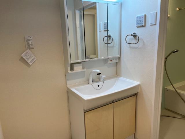 ブルー　スカイ（BLUE SKY）105号室 洗面