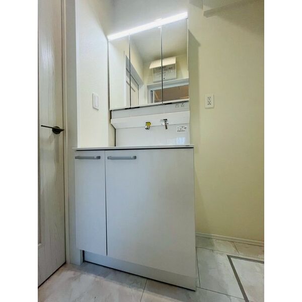 Sumai-to川口市本蓮010001号室 洗面