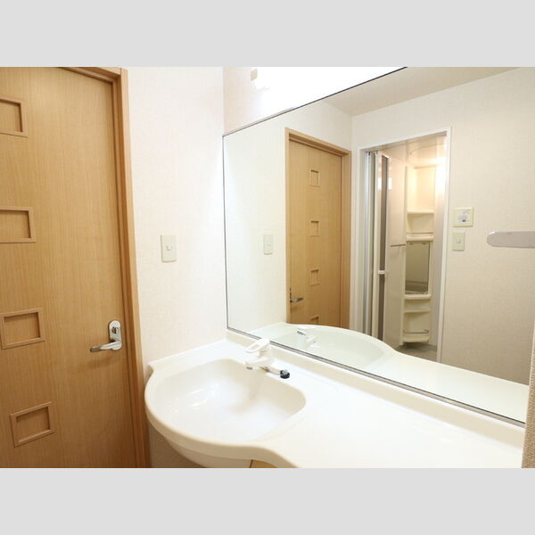 ルインズ・イン・マルヤマ　ABCDEFB205号室 洗面所